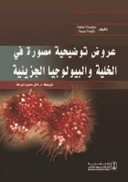 صورة الغلاف المحلية